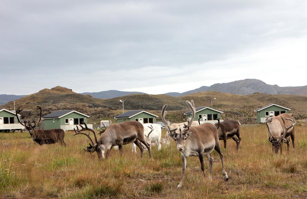 Nordkapp Camping Hotel Szoba fotó