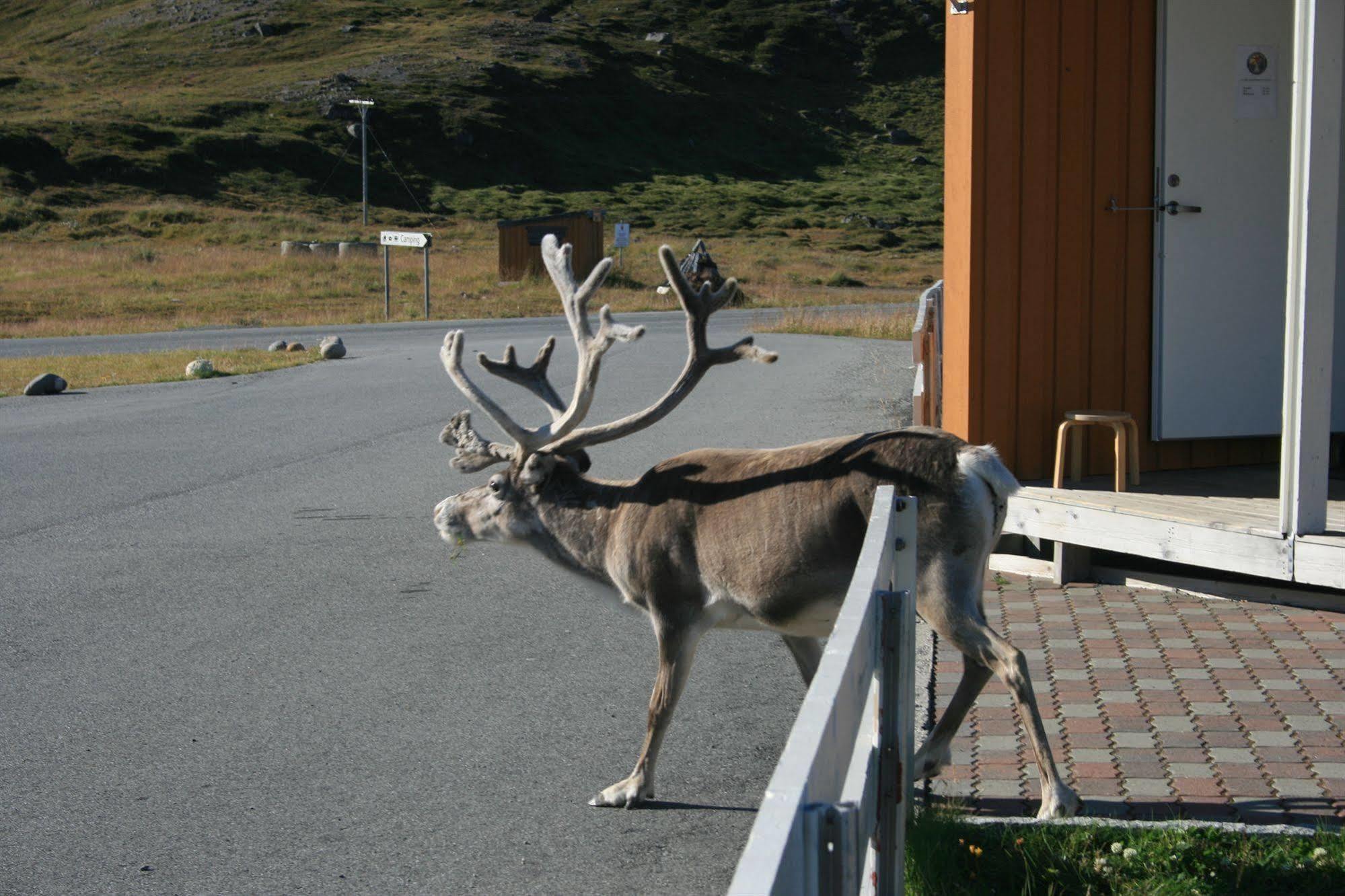 Nordkapp Camping Hotel Kültér fotó